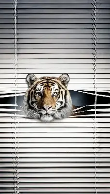 Zatemnilni rolo za balkonska vrata Tiger
