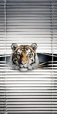 Zatemnilni rolo za balkonska vrata Tiger