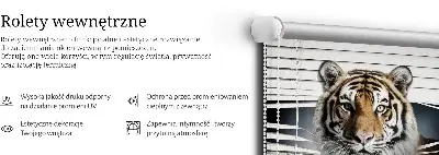 Zatemnilni rolo za balkonska vrata Tiger