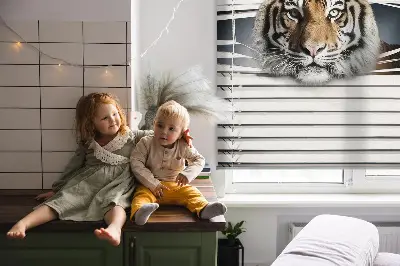 Zatemnilni rolo za balkonska vrata Tiger