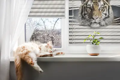 Zatemnilni rolo za balkonska vrata Tiger