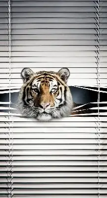 Zatemnilni rolo za balkonska vrata Tiger