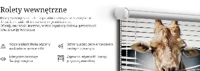 Notranji zatemnilni rolo za okno Žirafa