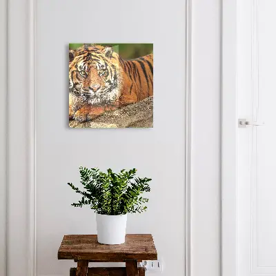 Škatla za ključe Tiger počiva