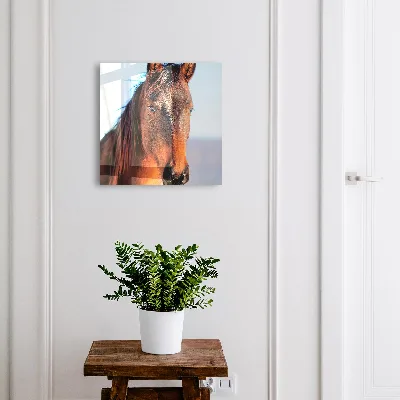 Omarica za ključe Portret konja