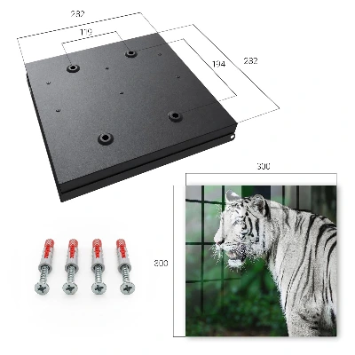 Škatla za ključe Beli tiger