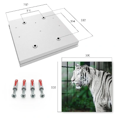 Škatla za ključe Beli tiger