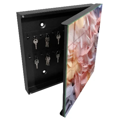 Omarica za ključe z motivom pastelnega perja