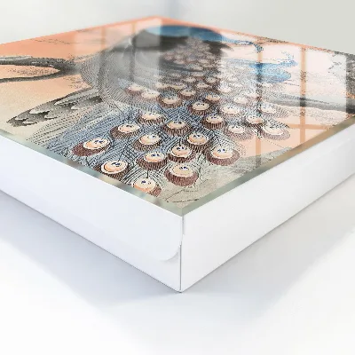 Omarica za ključe Pavja lepotica