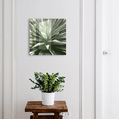 Omarica za ključe Agave