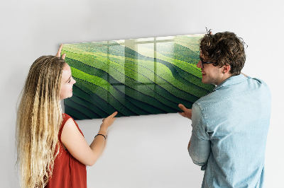 Magnetna steklena tabla Abstraktna zelena polja