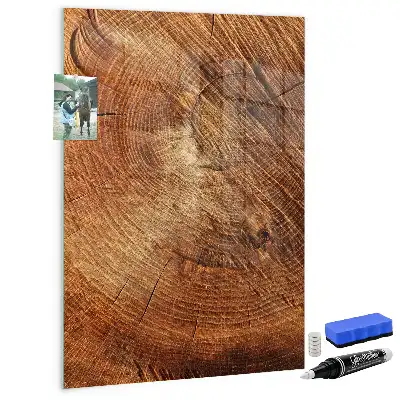 Tabla piši-briši prečni prerez debla
