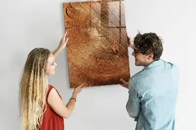 Tabla piši-briši prečni prerez debla