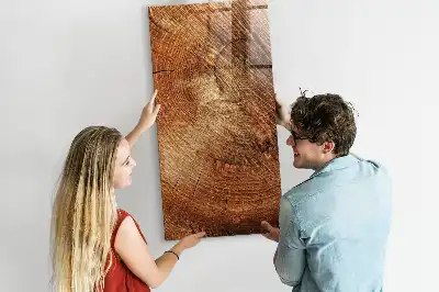 Tabla piši-briši prečni prerez debla
