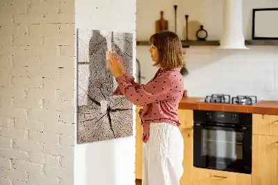 Piši briši tabla z motivom prečnega prereza debla