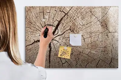 Magnetna bela tabla piši-briši z motivom starega debla