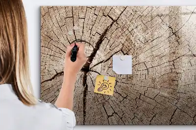 Magnetna bela tabla piši-briši z motivom starega debla