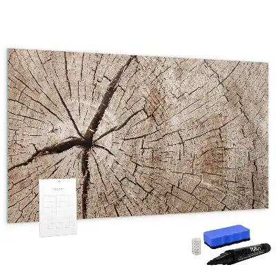 Magnetna bela tabla piši-briši z motivom starega debla