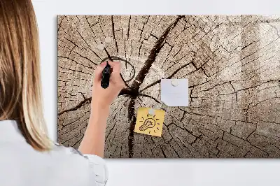 Magnetna bela tabla piši-briši z motivom starega debla