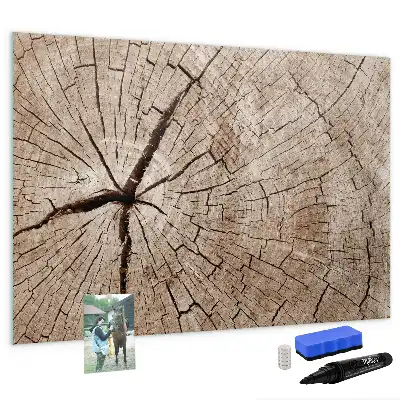Magnetna bela tabla piši-briši z motivom starega debla