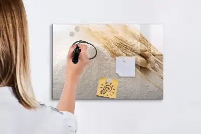 Magnetna tabla za risanje Moka