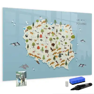 Magnetna tabla za pisanje in brisanje z zemljevidom živali Poljske