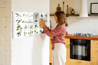 Magnetna tabla za risanje z motivom drevesnih vrst