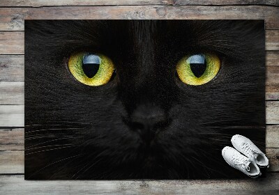 Predpražnik Črna mačka