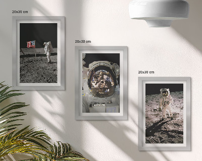 Komplet slik v okvirju Fotografije pristanka astronavtov na Luni