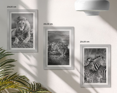 Komplet slik v okvirju Divje živali savane: lev, jaguar in zebra