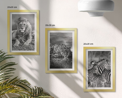Komplet slik v okvirju Divje živali savane: lev, jaguar in zebra