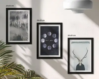 Komplet slik v okvirju gozdna pokrajina v megli z jelenovo lobanjo in luninimi menami