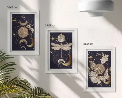 Komplet 3 slik v okvirju z naravnimi motivi lune, vesolja in rož