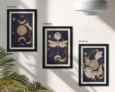 Komplet 3 slik v okvirju z naravnimi motivi lune, vesolja in rož