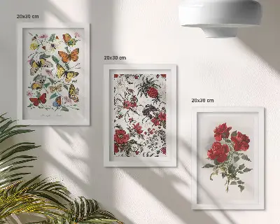 Komplet slik v okvirju z motivom metuljev, rož in rdečih vrtnic v klasičnem slogu