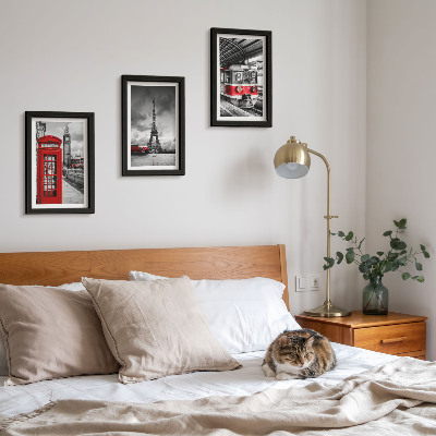 Stenska galerija slik Ikonična mesta London Pariz in železniški promet