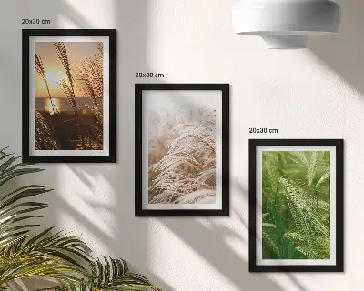 Komplet 3 slik v okvirju različne vrste trave v pisanih barvah narave