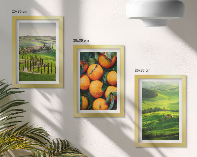 Stenska galerija slik Italijanska podeželska pokrajina z pomarančami in naravo