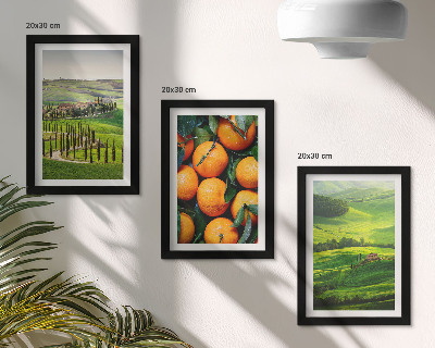 Stenska galerija slik Italijanska podeželska pokrajina z pomarančami in naravo