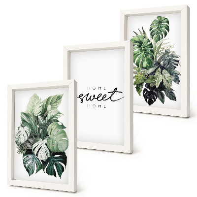 Stenska galerija slik Zelene rastline z napisom Sweet Home
