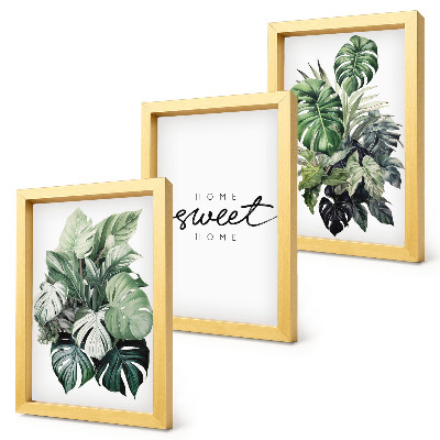 Stenska galerija slik Zelene rastline z napisom Sweet Home