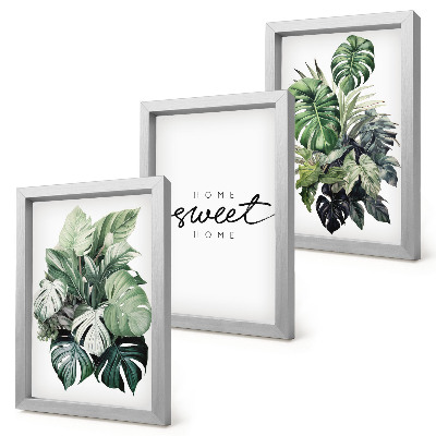 Stenska galerija slik Zelene rastline z napisom Sweet Home