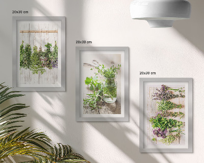 Stenska galerija slik Sušenje zelišč in rastlin za kuhinjo