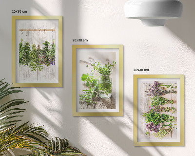 Stenska galerija slik Sušenje zelišč in rastlin za kuhinjo