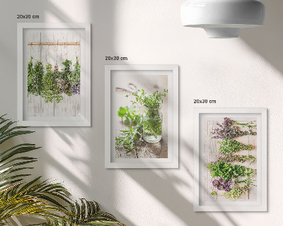 Stenska galerija slik Sušenje zelišč in rastlin za kuhinjo