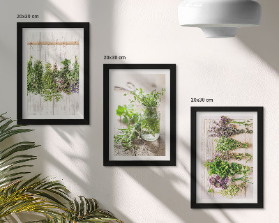 Stenska galerija slik Sušenje zelišč in rastlin za kuhinjo