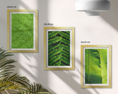 Stenska galerija slik Bližnji posnetki tropskih listov