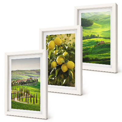 Stenska galerija slik Italijanske pokrajine z agrumi in zelenimi griči