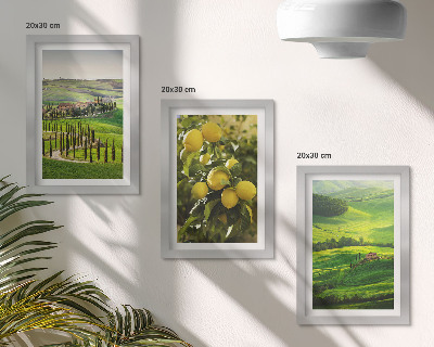 Stenska galerija slik Italijanske pokrajine z agrumi in zelenimi griči