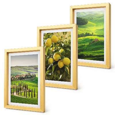 Stenska galerija slik Italijanske pokrajine z agrumi in zelenimi griči